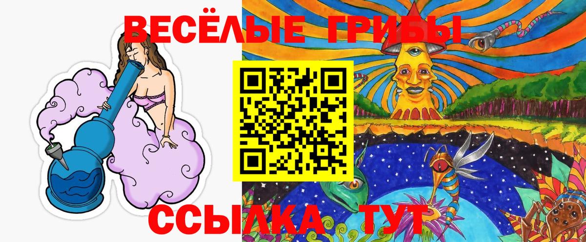 как найти закладки  Вход с VPN  Галлюциногенные грибы Psilocybine cubensis  Балашов  Галлюциногенные грибы MAGIC MUSHROOMS 